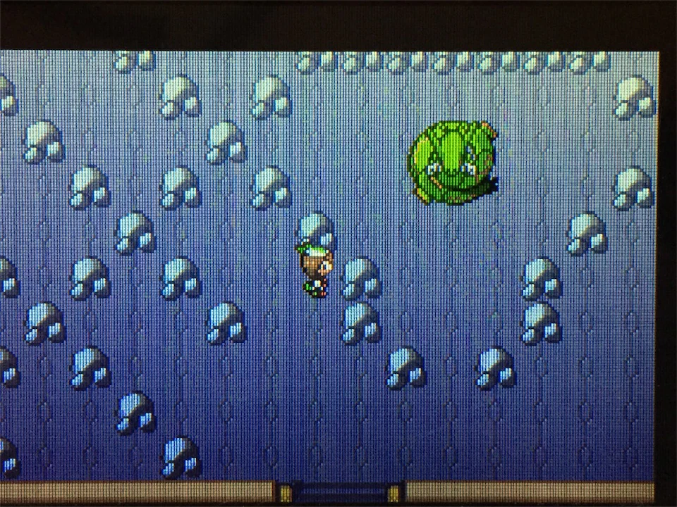 Pokemon Emerald trainer standing before Rayquaza inside Sky Pillar